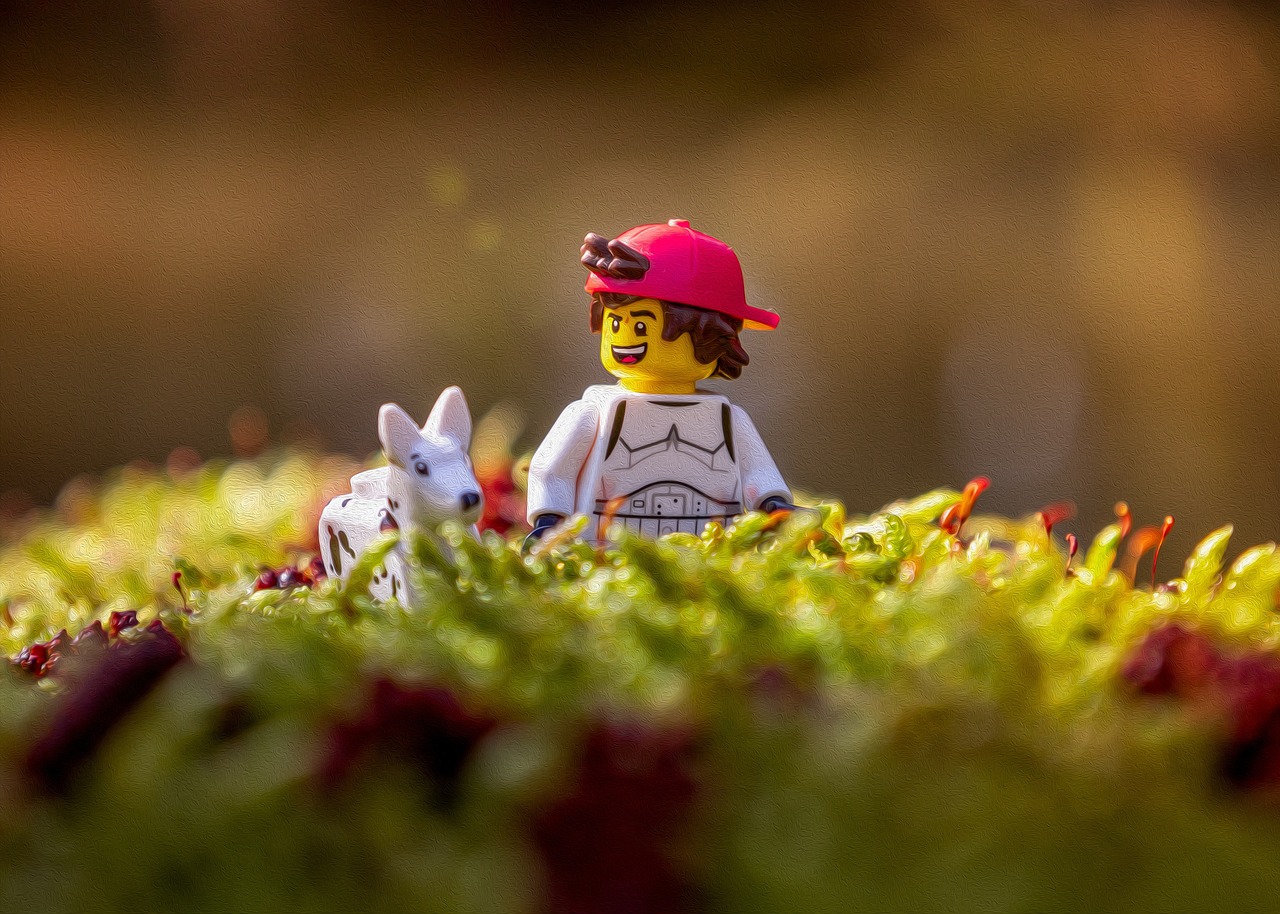 Lego character in field